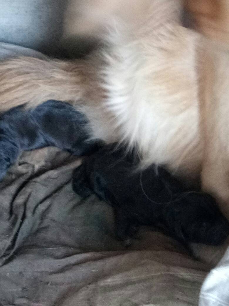 beat365官网|爆料:中石化巨亏不澄清?因为算不清究竟亏了多少(图3) beat365官网