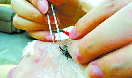 数读第六届世界互联网大会五大共识六大成果|beat365官网(图3) beat·365