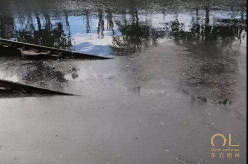 beat365亚洲体育官方网站|海棠经雨胭脂透什么时候播出 每周几几点更新几集(图3) beat365亚洲体育官方网站