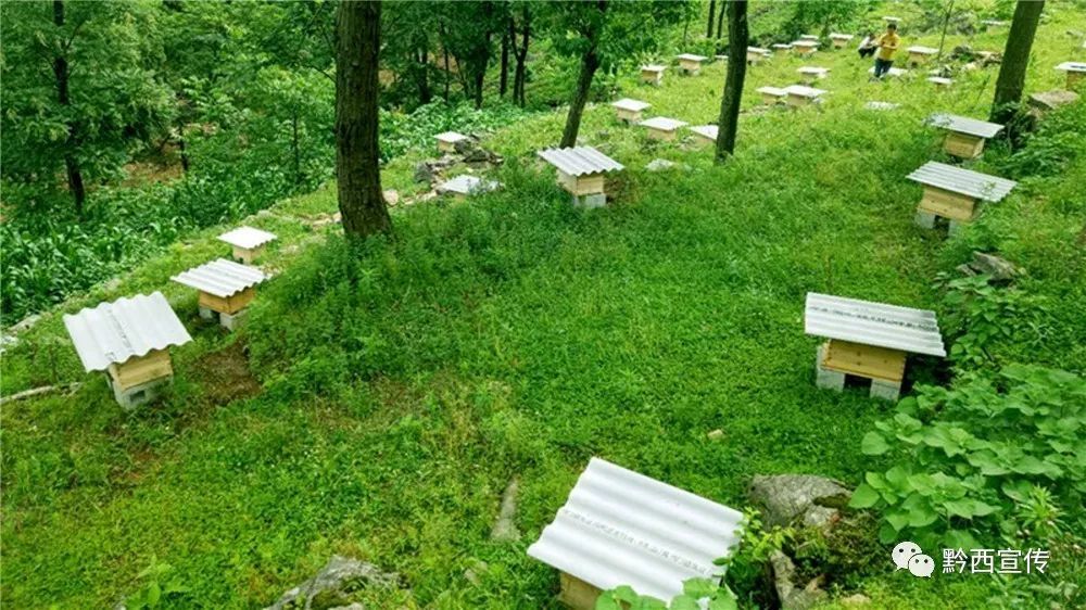 “beat365官网”国家能源集团的2020之路(图1) beat365亚洲体育官方网站