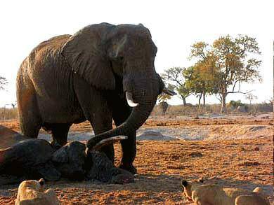 “beat365亚洲体育官方网站”电力数据动脑千家万户受益(图2) beat365官网