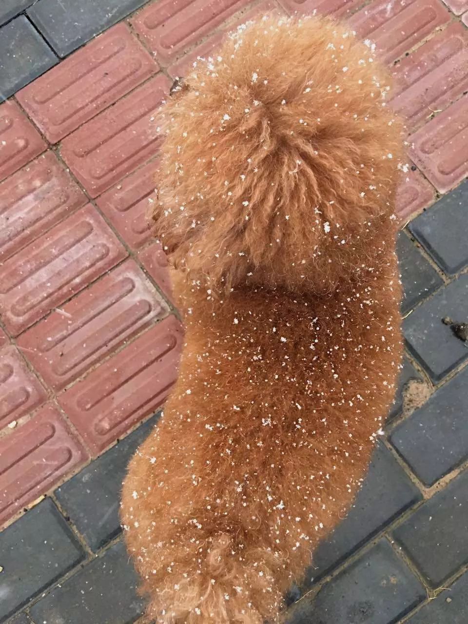 “beat365官网”彩虹的重力是小说改编的吗?何彩虹身世是什么?(图3) beat·365