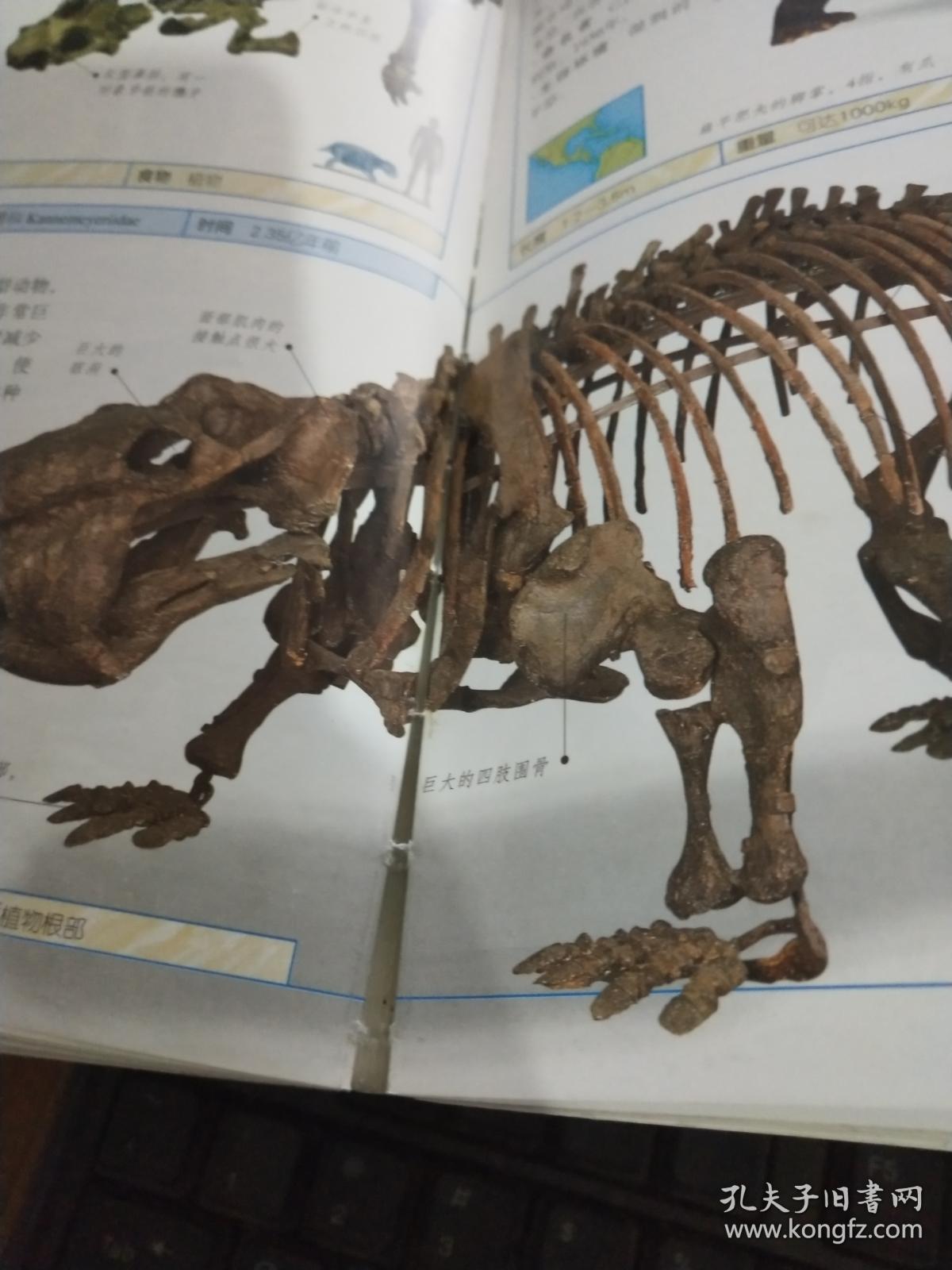 “beat365官网”兰因絮果是什么意思?如懿传大结局和原著一样吗(图3) beat365官网