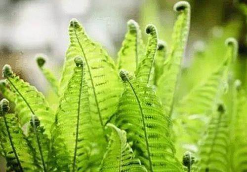 《你和我的倾城时光》小说结局是什么?林浅结局怎么样?“beat·365”(图4) beat·365