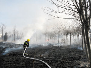 洋溪社区:举办老年人钓鱼比赛【beat365亚洲体育官方网站】(图1) beat·365