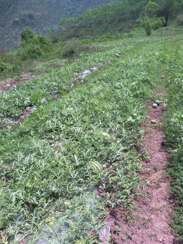 朱星杰为《亲爱的活祖宗》首度献唱片尾曲|beat·365(图1) beat365官网