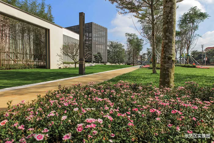 何雯娜追爱撒糖被侃“女版白敬亭” 奥运冠军私生活励志圈粉-beat365官网(图3) beat365官网