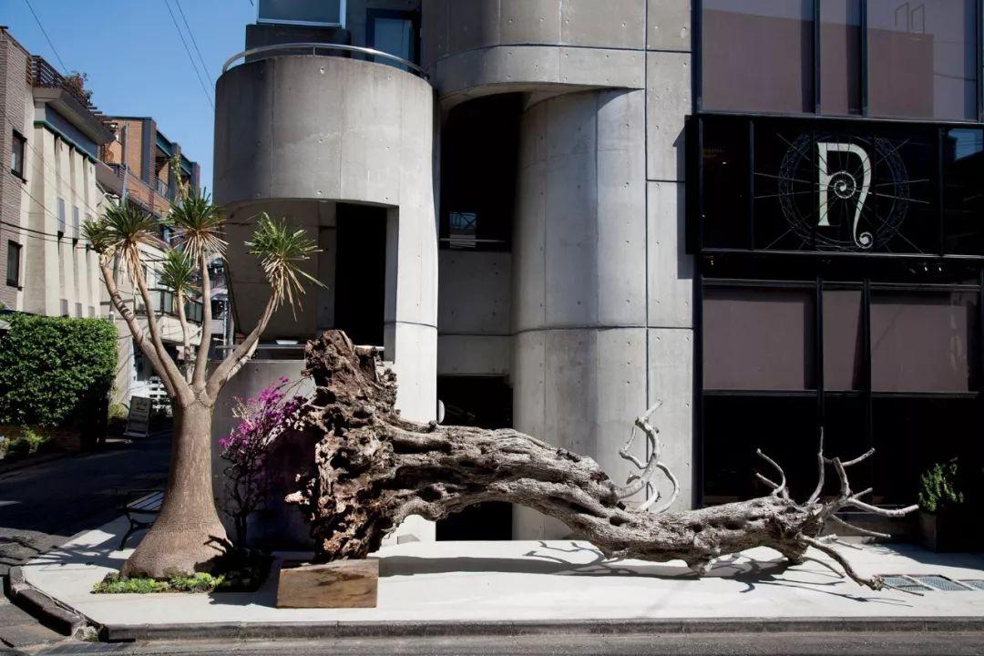 beat365亚洲体育官方网站