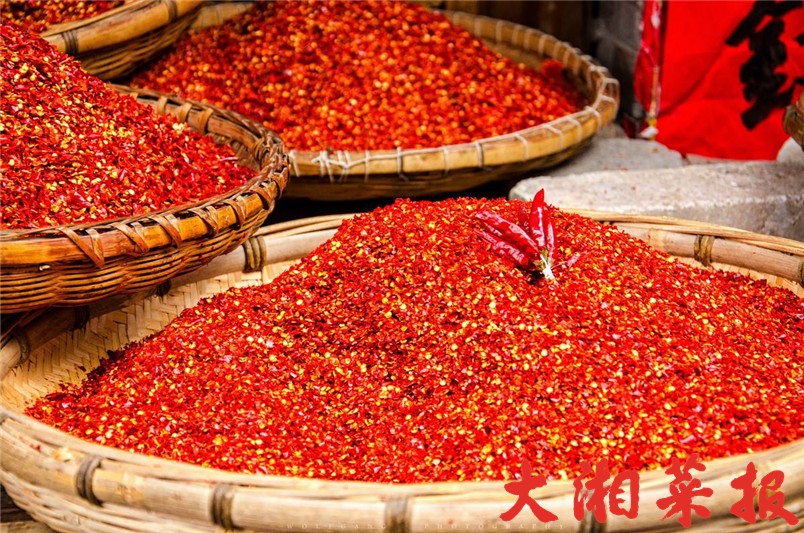 ‘beat365亚洲体育官方网站’电视剧《亲爱的,你在哪里》今日开机 聚焦“寻子”打造现实温暖力作(图2) beat·365