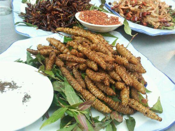 beat365亚洲体育官方网站