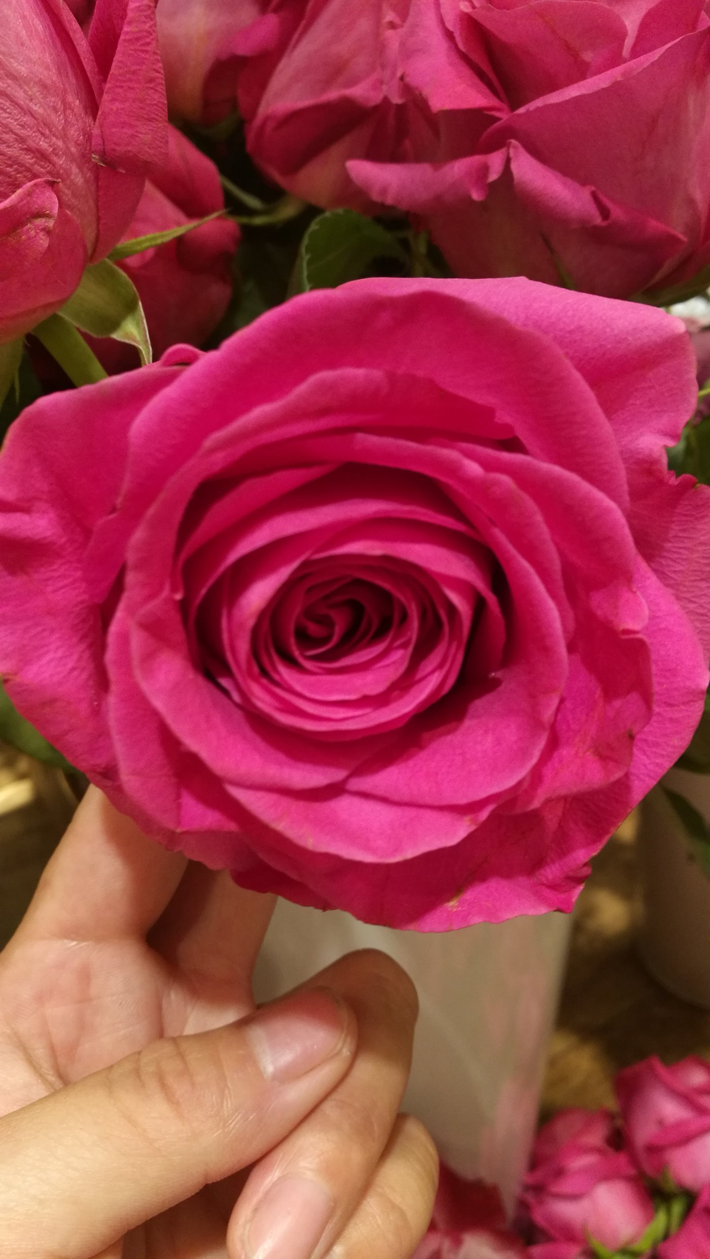 beat365亚洲体育官方网站