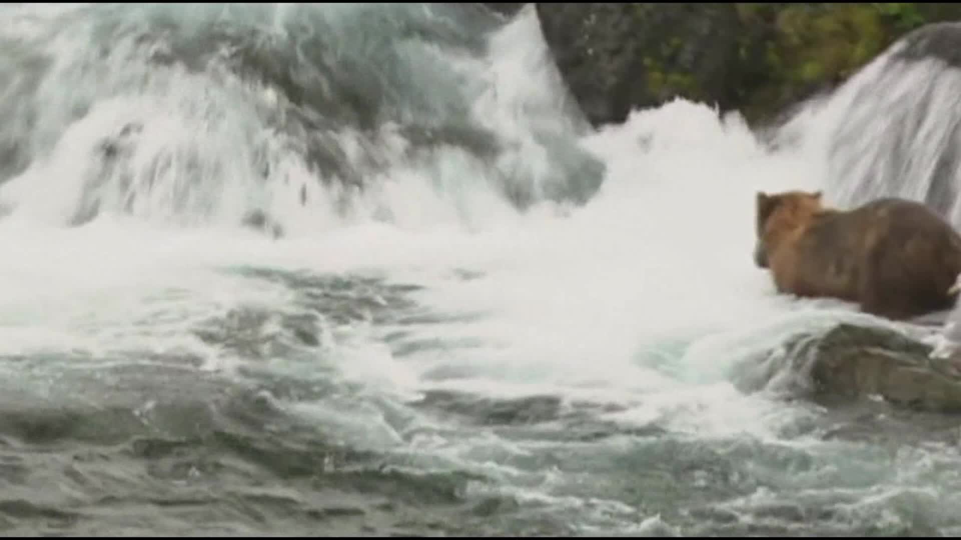 广西电网送变电公司深耕东南亚电力建设助力东盟经济发展“beat365亚洲体育官方网站”(图4) beat365亚洲体育官方网站