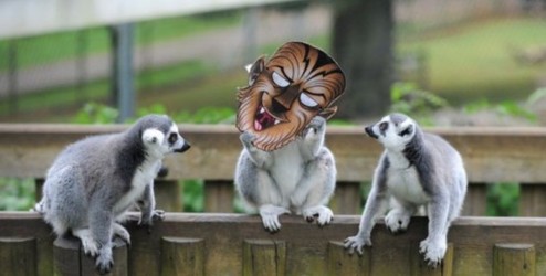 beat365亚洲体育官方网站