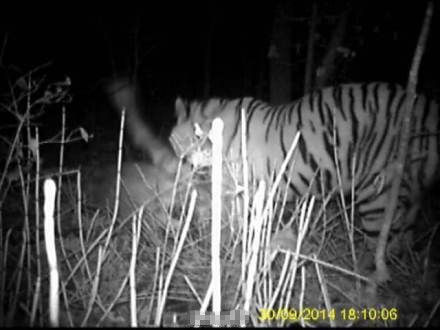 地球一小时 社区在行动-beat365官网(图4) beat·365