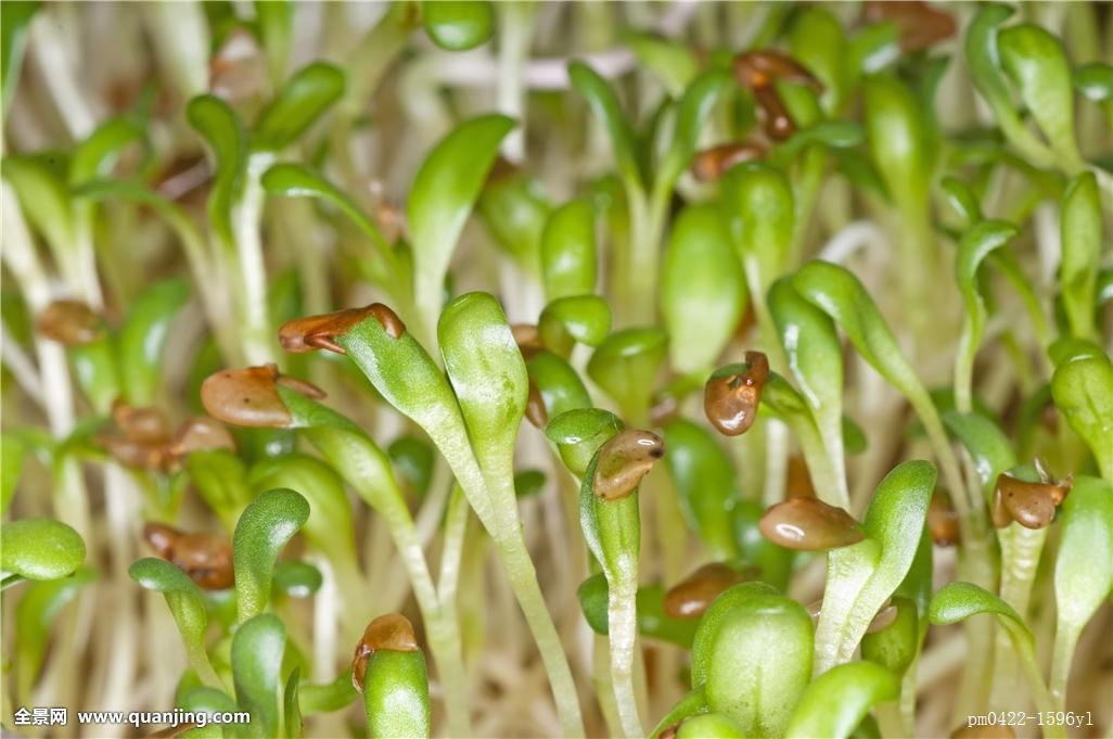 亲爱的热爱的番外结局 原著小说番外揭秘乃是有情人终成眷:beat365官网(图2) beat·365