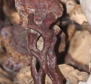 beat365亚洲体育官方网站