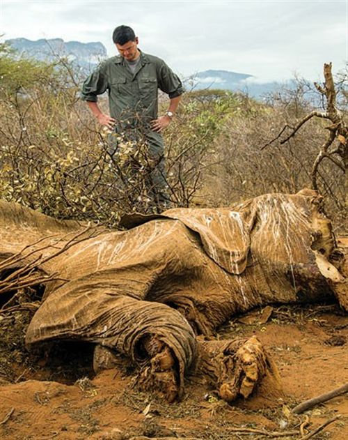 ‘beat365亚洲体育官方网站’这个夏天的“镇魂现象”了解一下(图4) beat·365