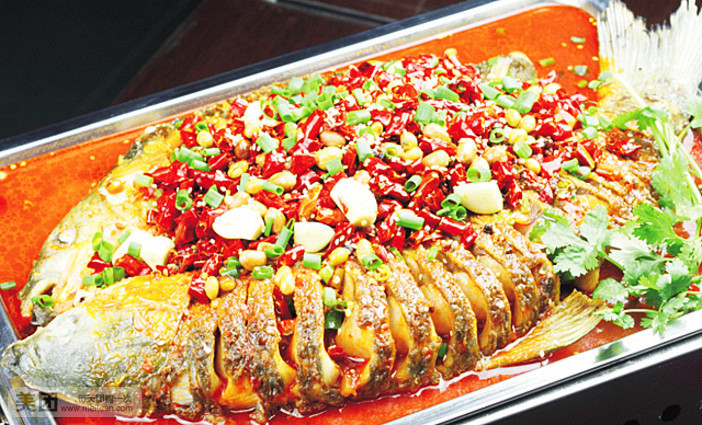 柜中美人全臻颖是谁演的?扮演者梁婧娴个人资料“beat·365”(图1) beat365官网