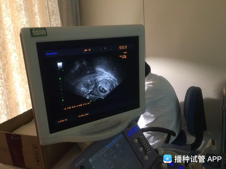 爱心满溢夕阳红 乐龄服务在罗桐‘beat365亚洲体育官方网站’(图1) beat365官网