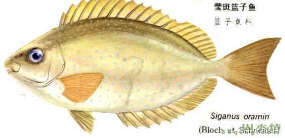 beat365亚洲体育官方网站