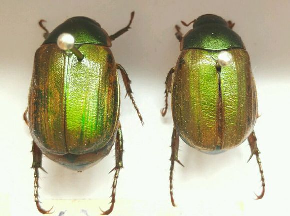 beat365亚洲体育官方网站